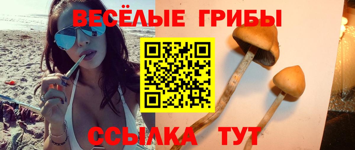 Галлюциногенные грибы Psilocybine cubensis  хочу наркоту  Котовск  Вход с VPN 